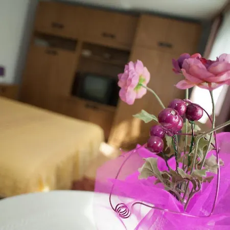 Apartament Oleander